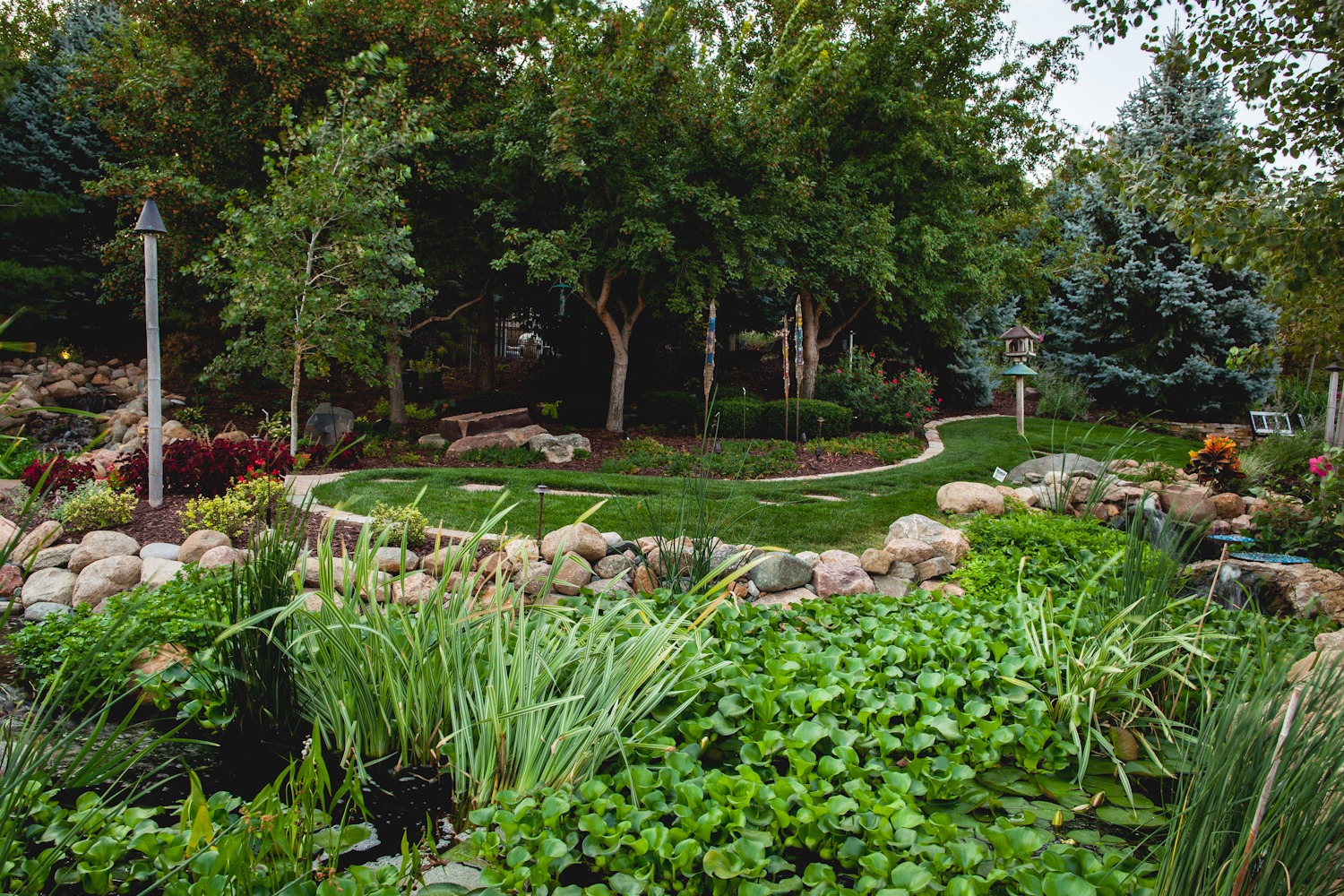 A lush garden features a pond, rocks, lush plants, trees, and a winding path. Peaceful natural setting with a birdhouse.