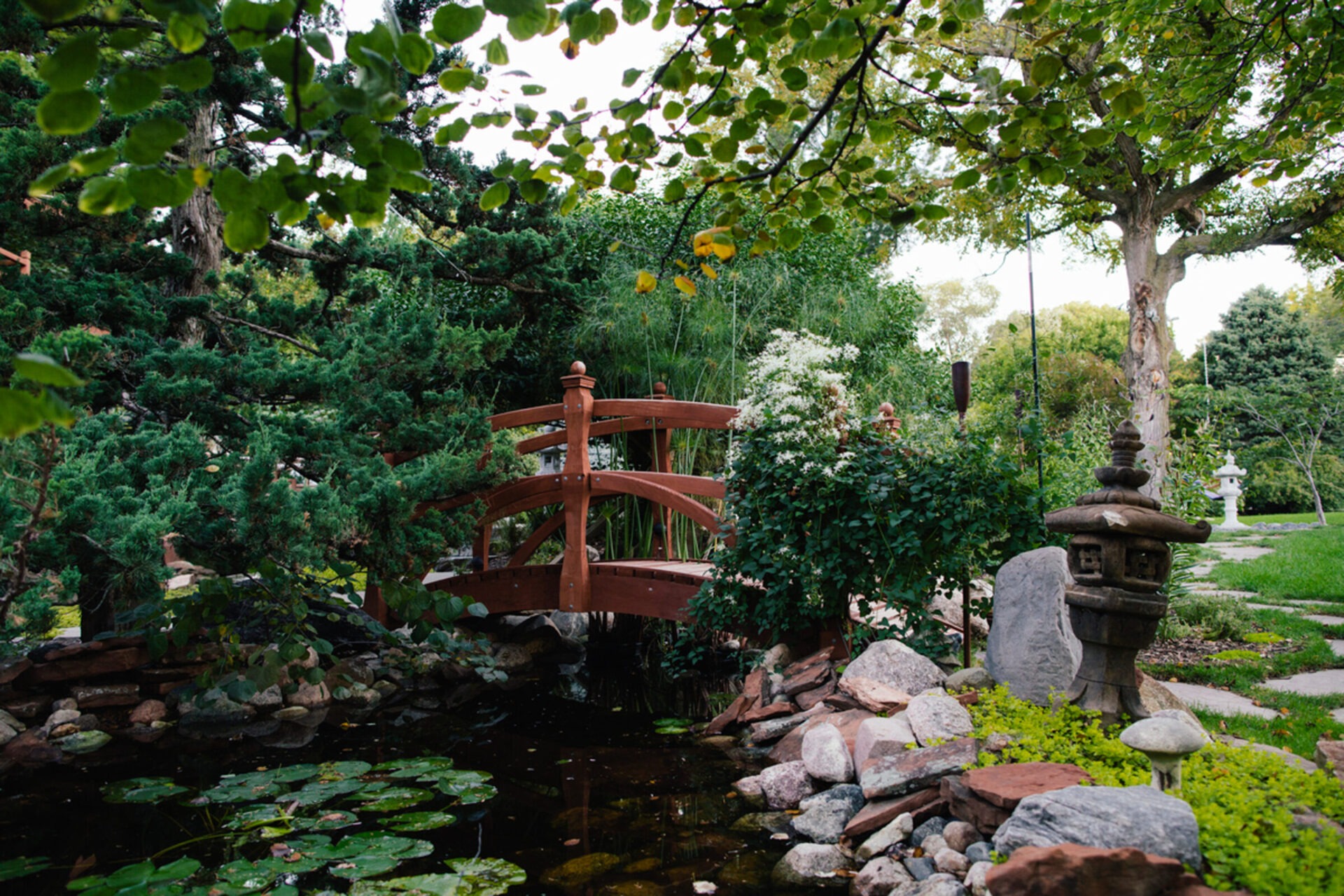 A tranquil Japanese garden with a wooden bridge, stone lanterns, lily pond, lush greenery, and stone pathway create a serene, natural setting.