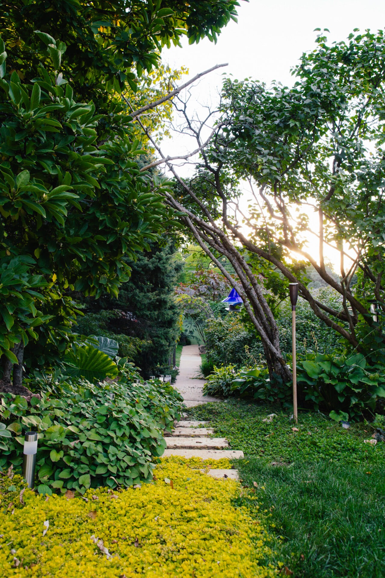 A lush garden path with stone steps and surrounding greenery, leading to a serene area under dappled sunlight, creates a peaceful atmosphere.