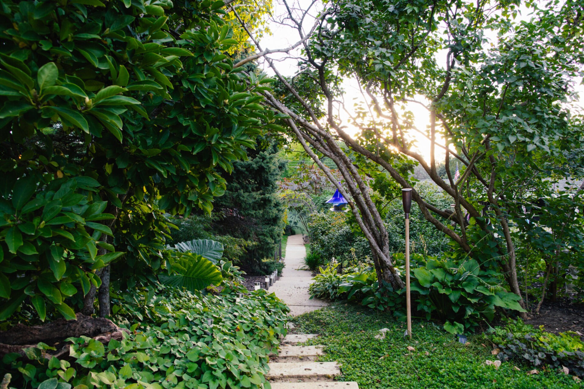 A serene garden path surrounded by lush greenery and trees, with a blue birdhouse and sunlight peeking through branches in the background.