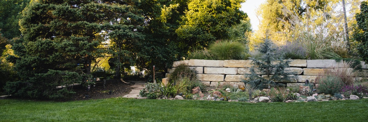 Lush garden features a stone retaining wall, various shrubs, and a small pathway surrounded by dense green trees, under a bright sky.