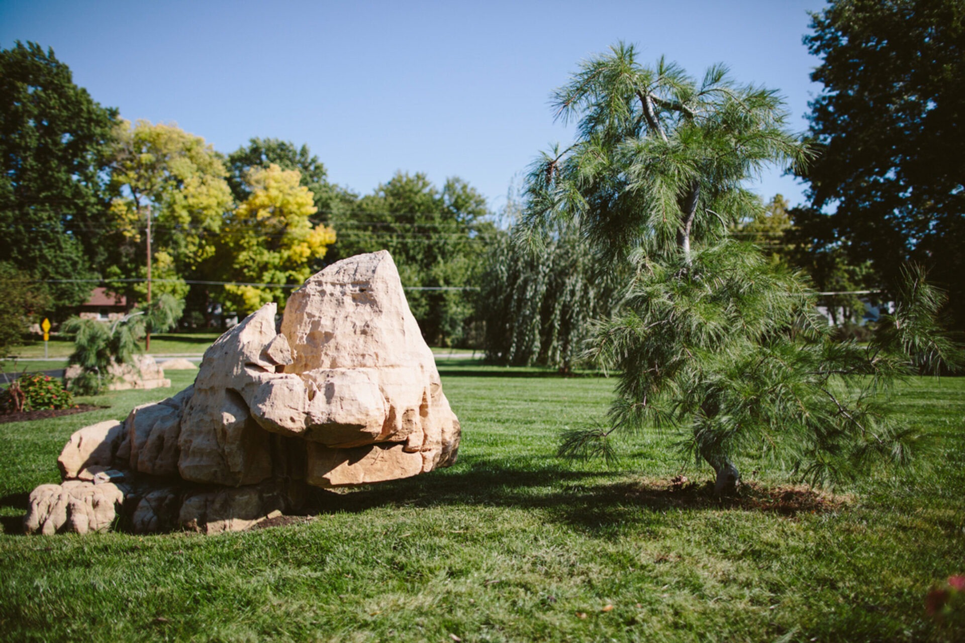 A serene park scene with a large rock, pine tree, and lush green lawn under a clear blue sky.