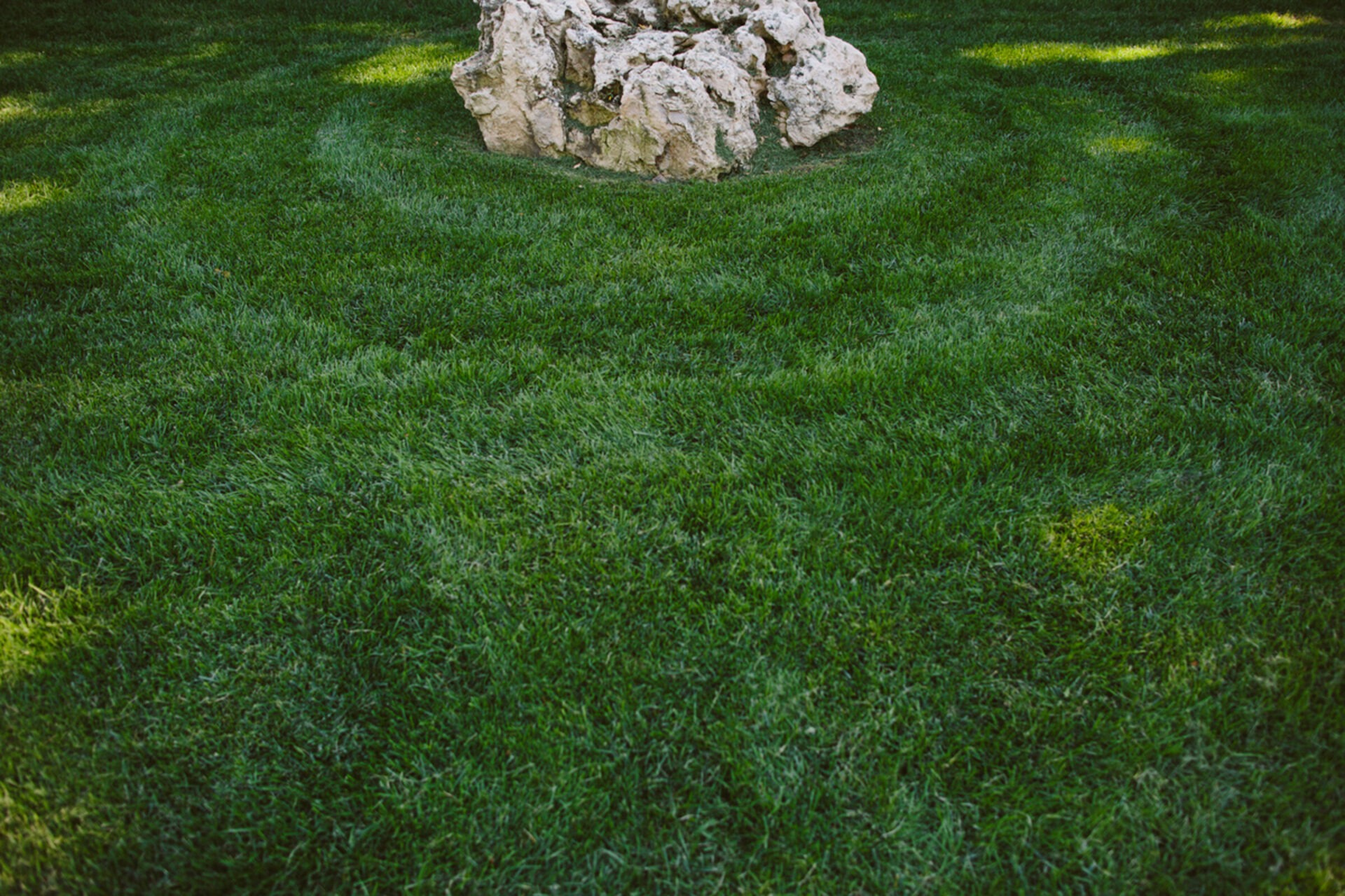 A patch of well-maintained grass surrounds a small, rugged stone formation under soft sunlight, creating a tranquil outdoor scene.