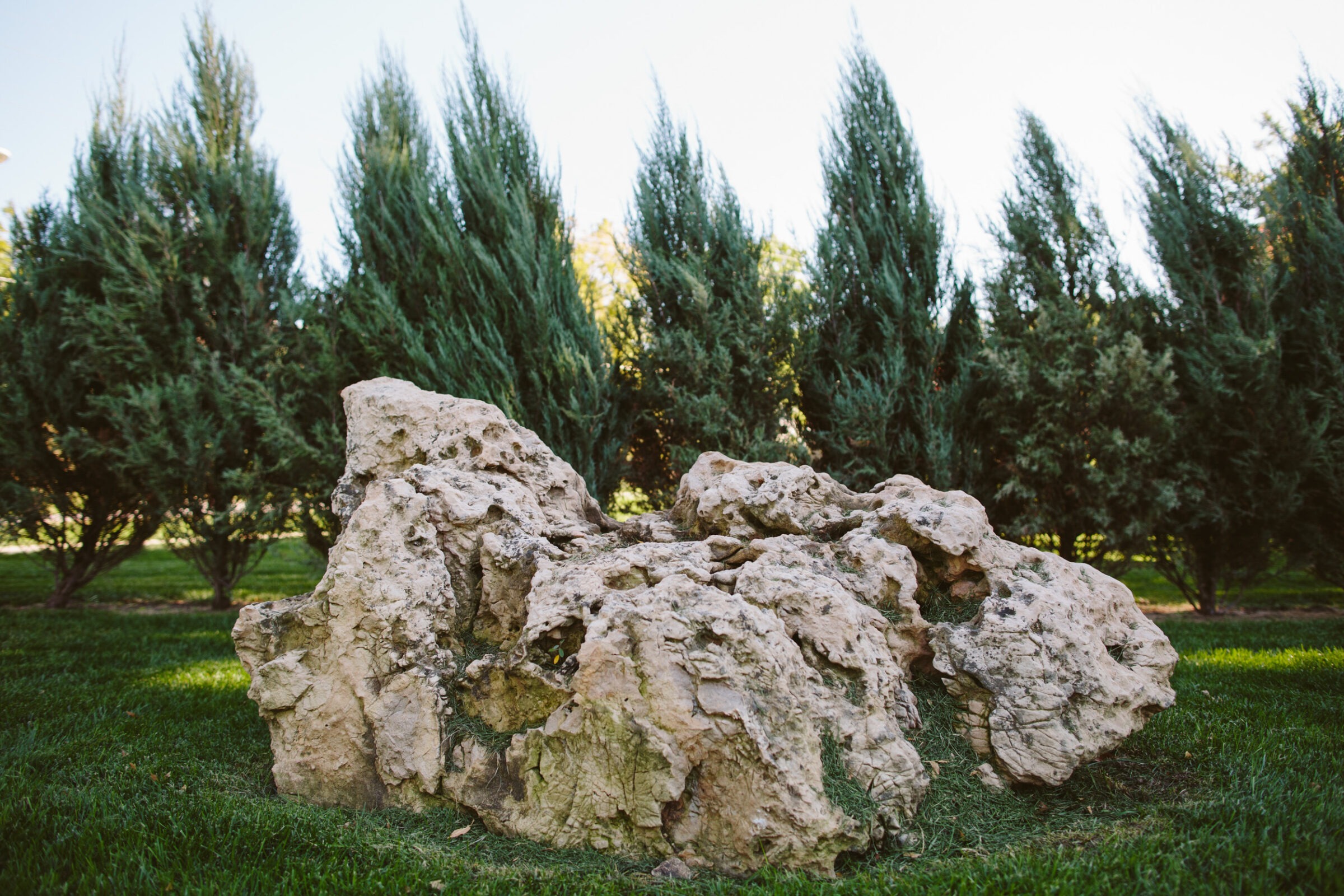 A large, textured rock sits on green grass, surrounded by tall evergreen trees under a clear sky.