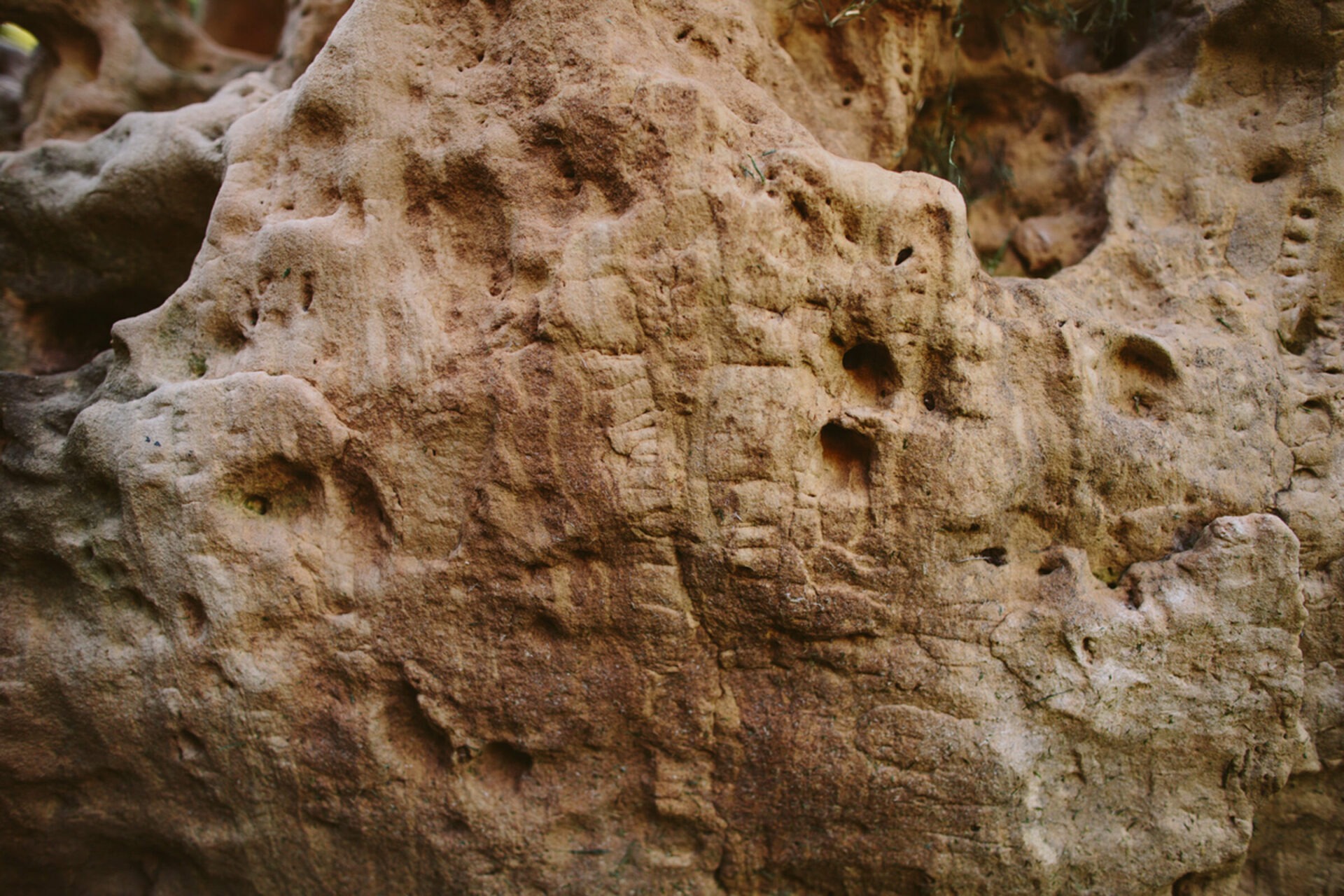 Close-up of a textured rock surface with natural holes and rough brownish patterns, possibly caused by weathering or erosion. No landmarks visible.