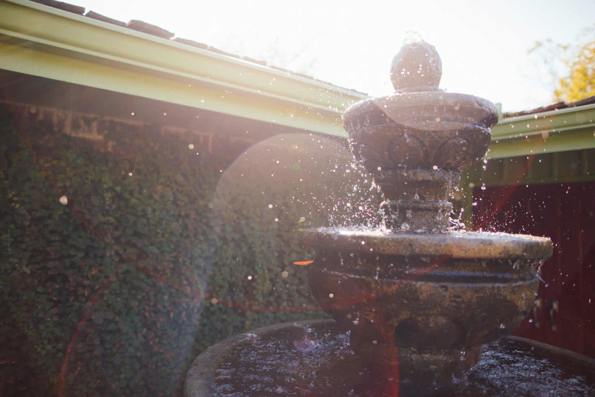 A stone fountain splashes in sunlight against a backdrop of lush ivy and a building’s roof, creating a serene garden atmosphere.