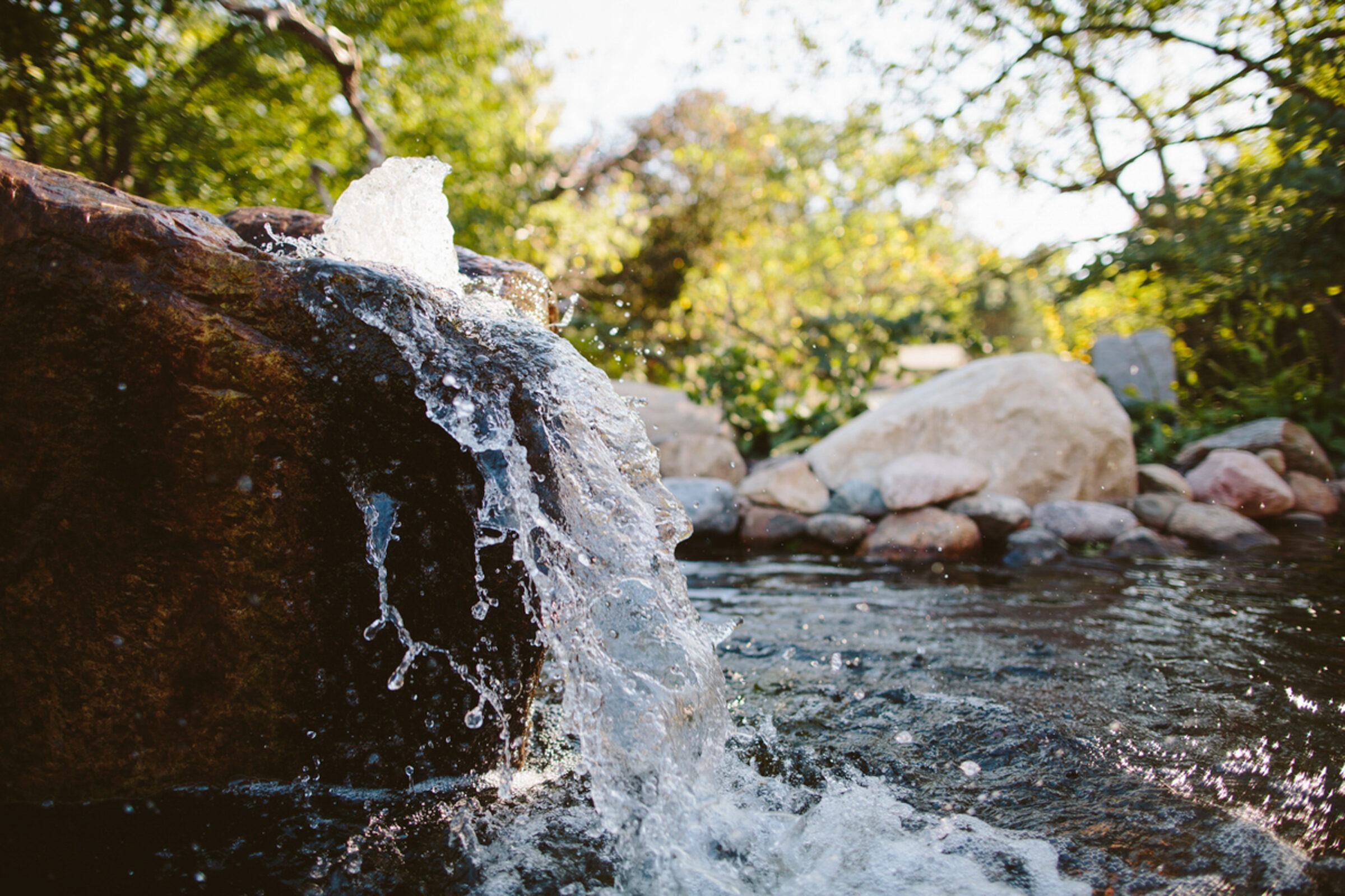 A small waterfall cascades over rocks into a tranquil pond, surrounded by lush greenery and sunlight filtering through the trees.