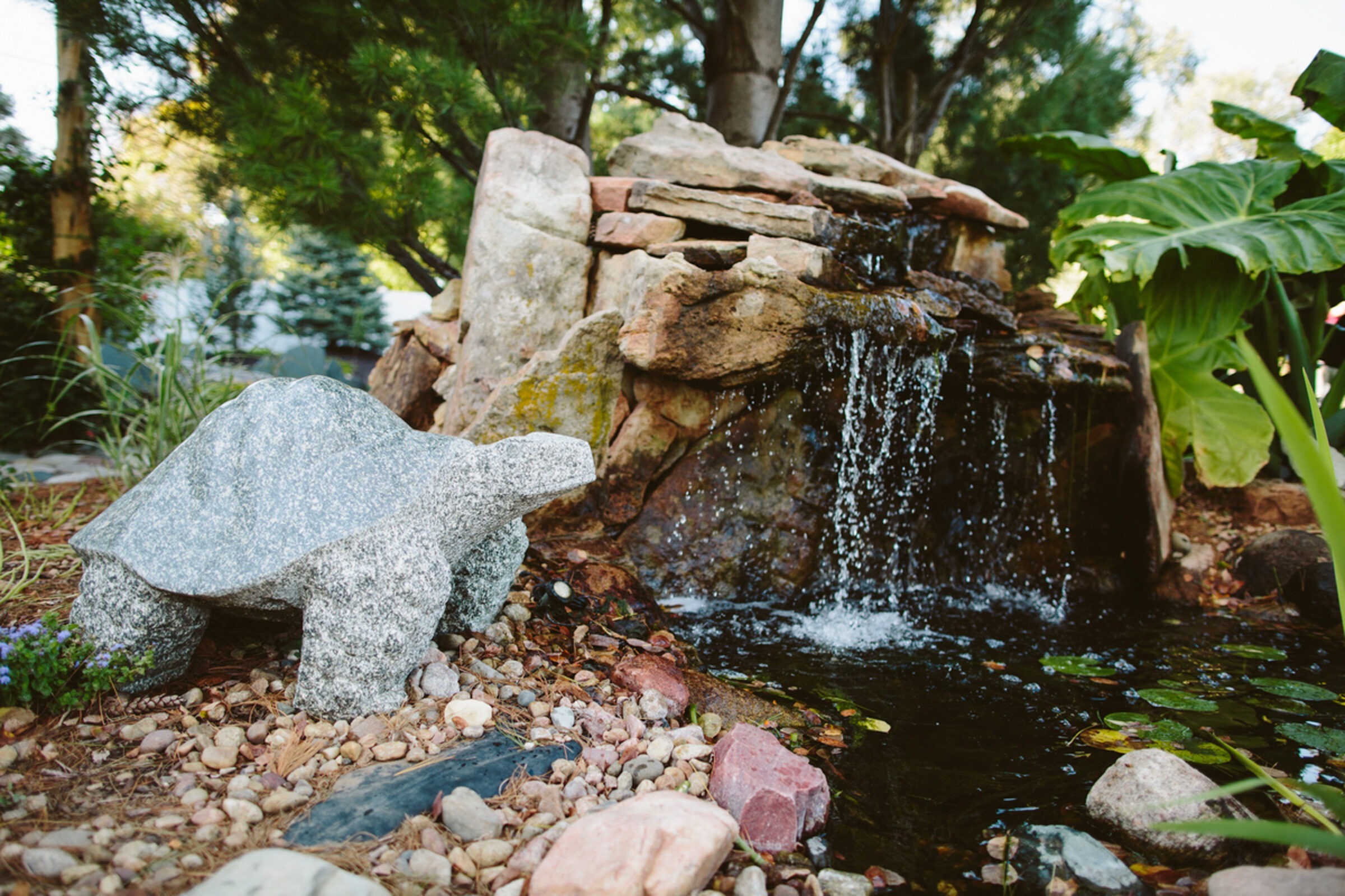 A stone turtle sculpture in a garden with vibrant greenery and a small waterfall flowing into a pond, creating a serene atmosphere.