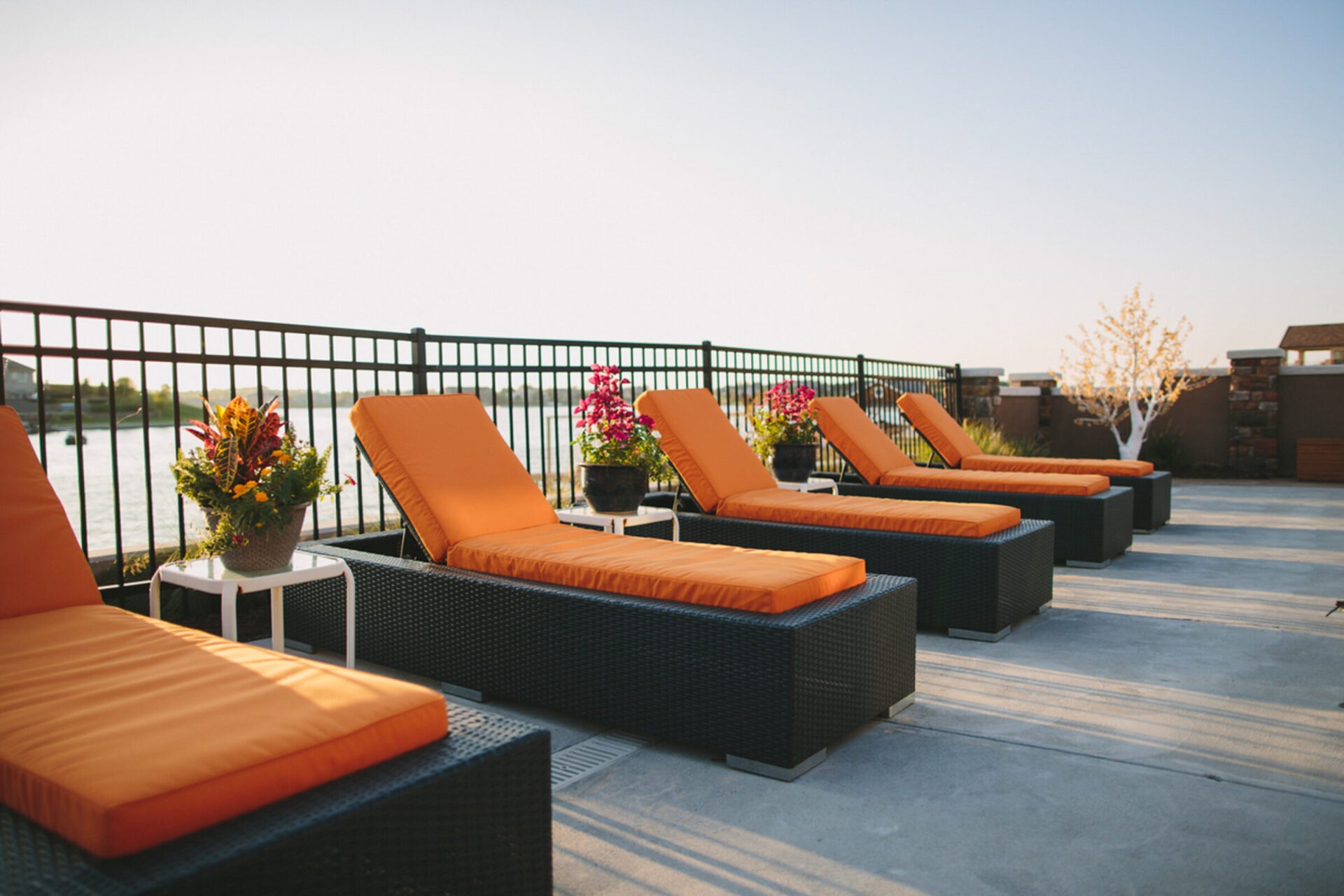 Five orange-cushioned lounge chairs are lined up on a sunlit patio by a lake, with colorful flowers beside them.