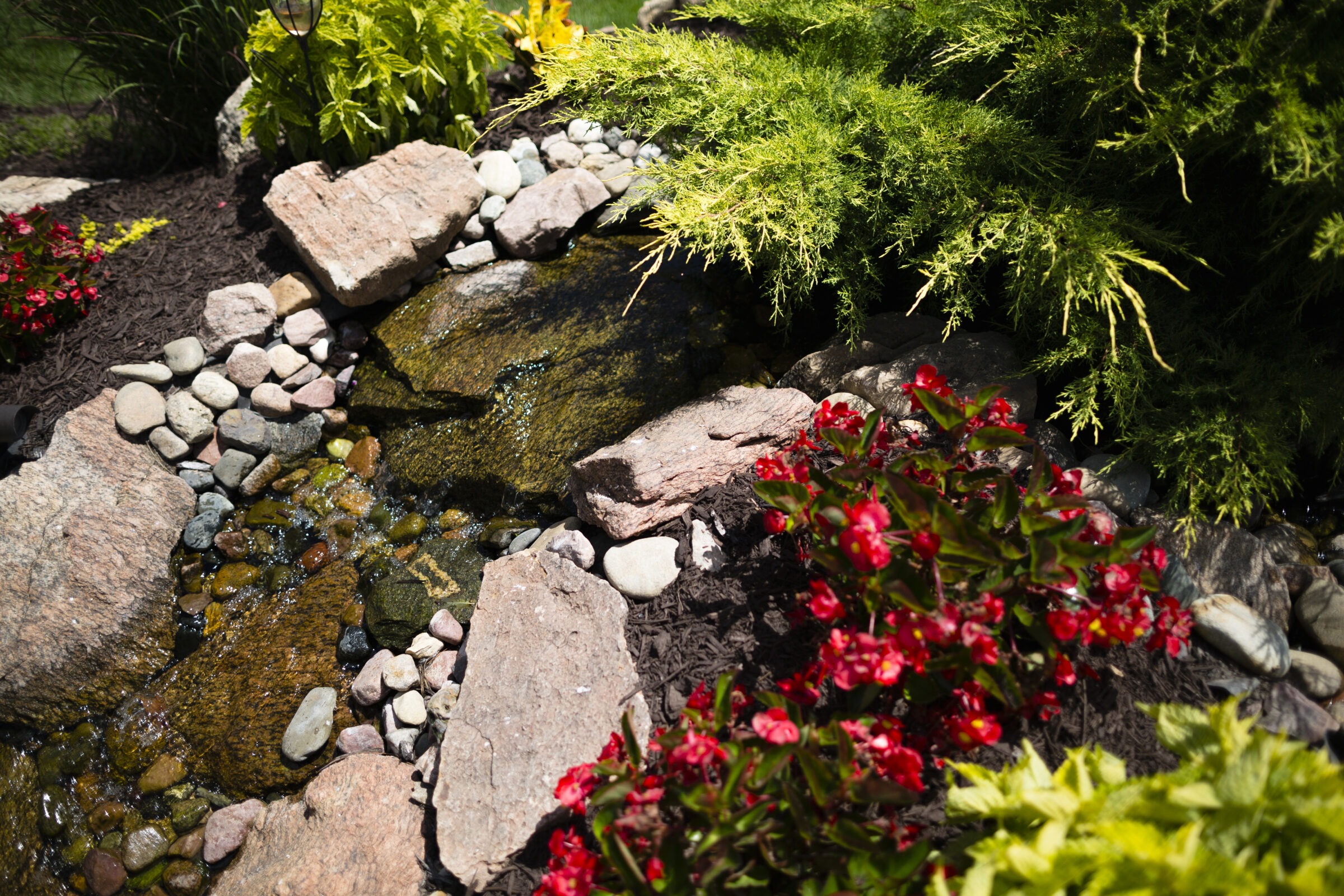 A tranquil garden scene featuring a small stream surrounded by rocks, bright red flowers, and lush green foliage under sunlight.