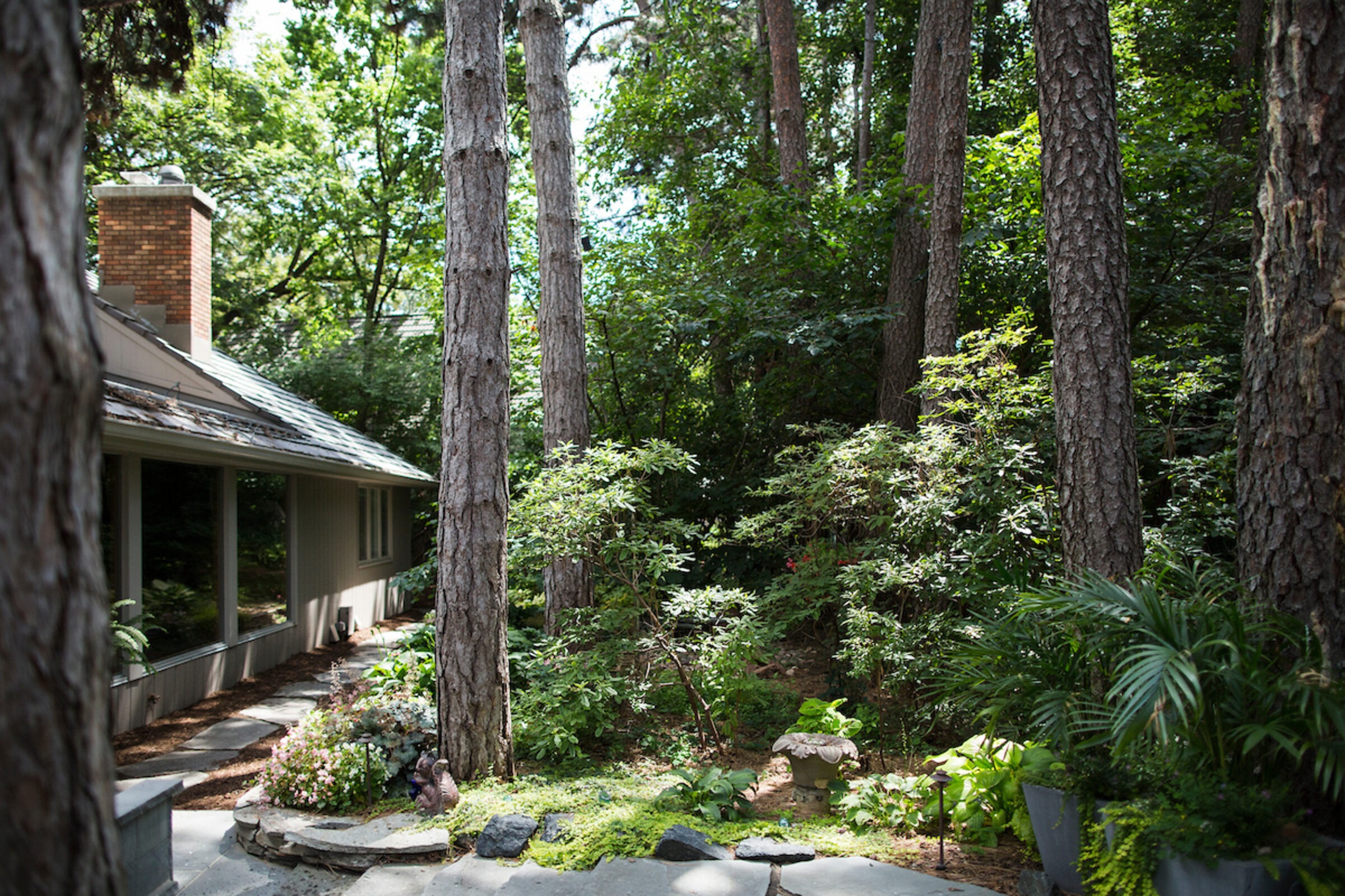 Lush garden with tall trees surrounds a modern house. Stone path and small decorative elements enhance the peaceful, natural setting.