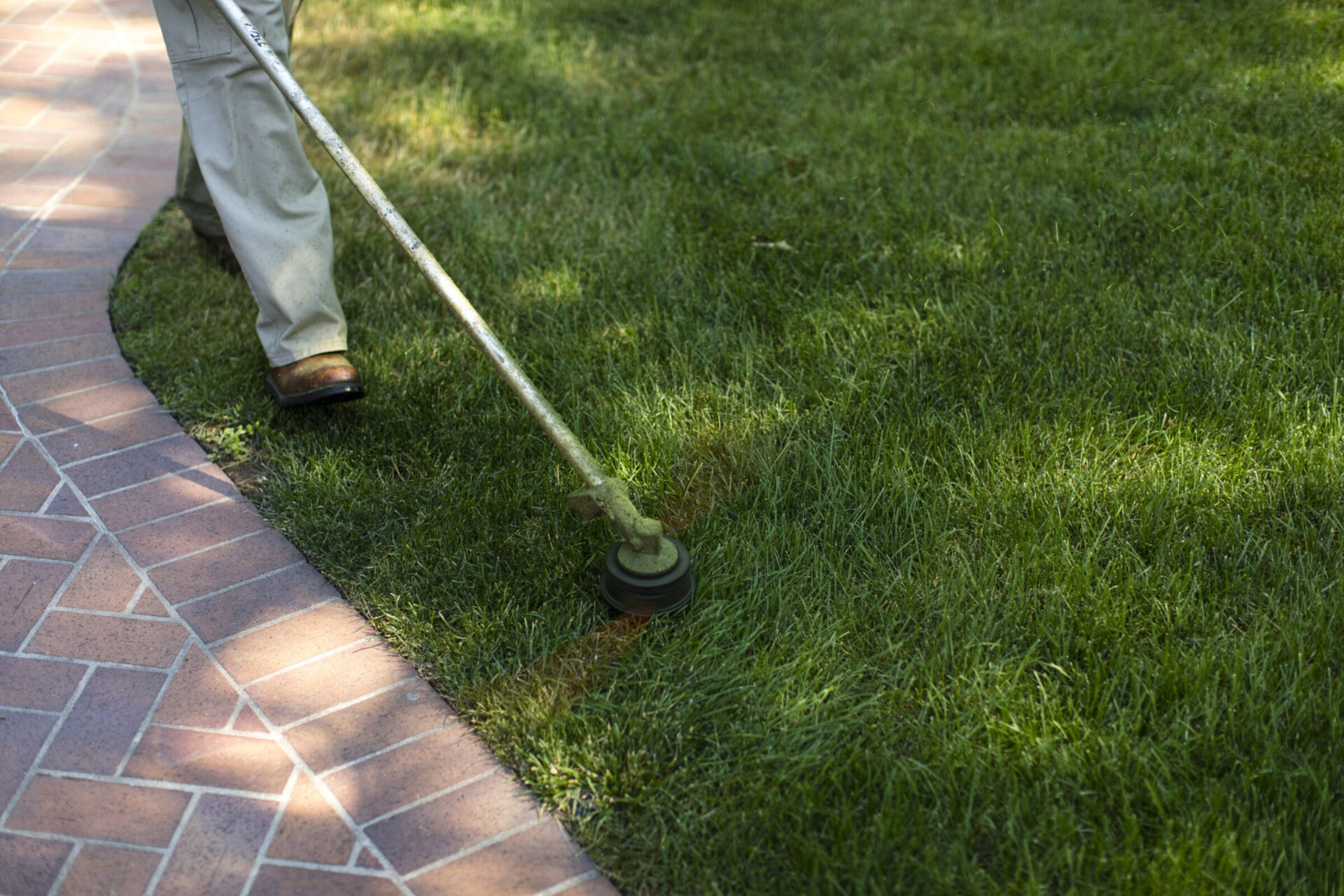 A person trims grass along a neatly paved brick pathway, focusing on maintaining the garden's neat appearance with a grass trimmer.