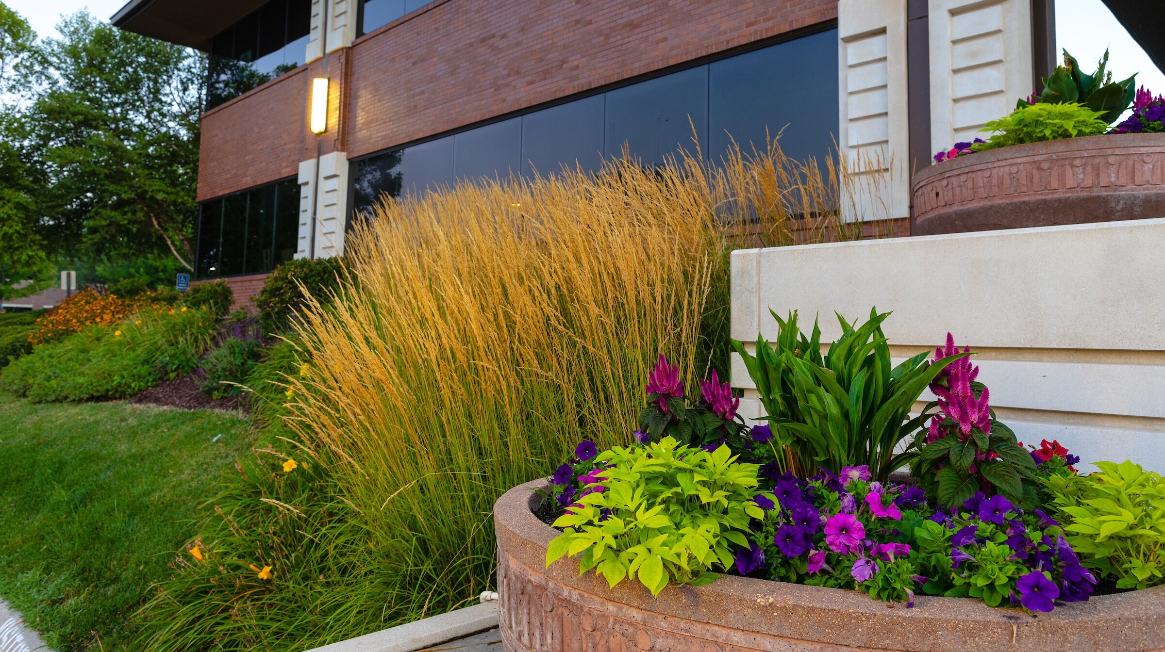 Brick building with large windows, surrounded by lush landscaping featuring tall grasses and vibrant flowers in planters. Modern lighting enhances the scene.