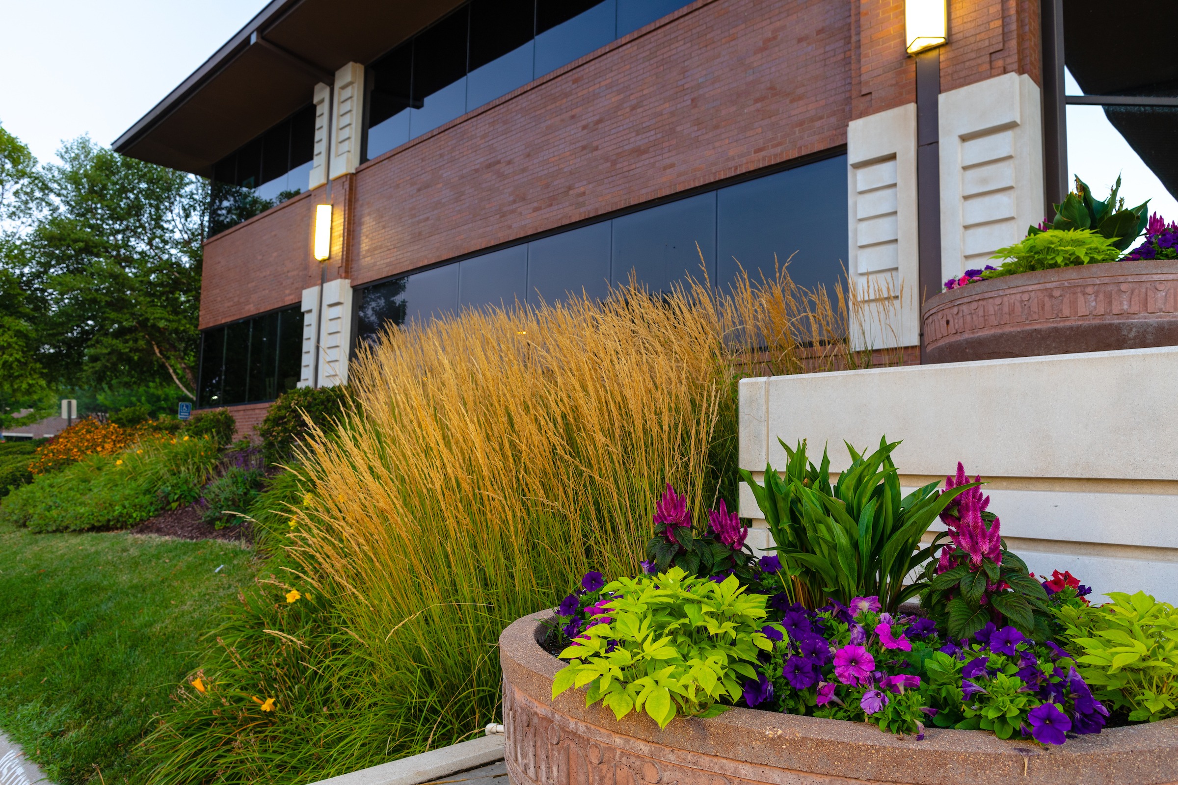 Brick building with large windows, surrounded by lush landscaping featuring tall grasses and vibrant flowers in planters. Modern lighting enhances the scene.