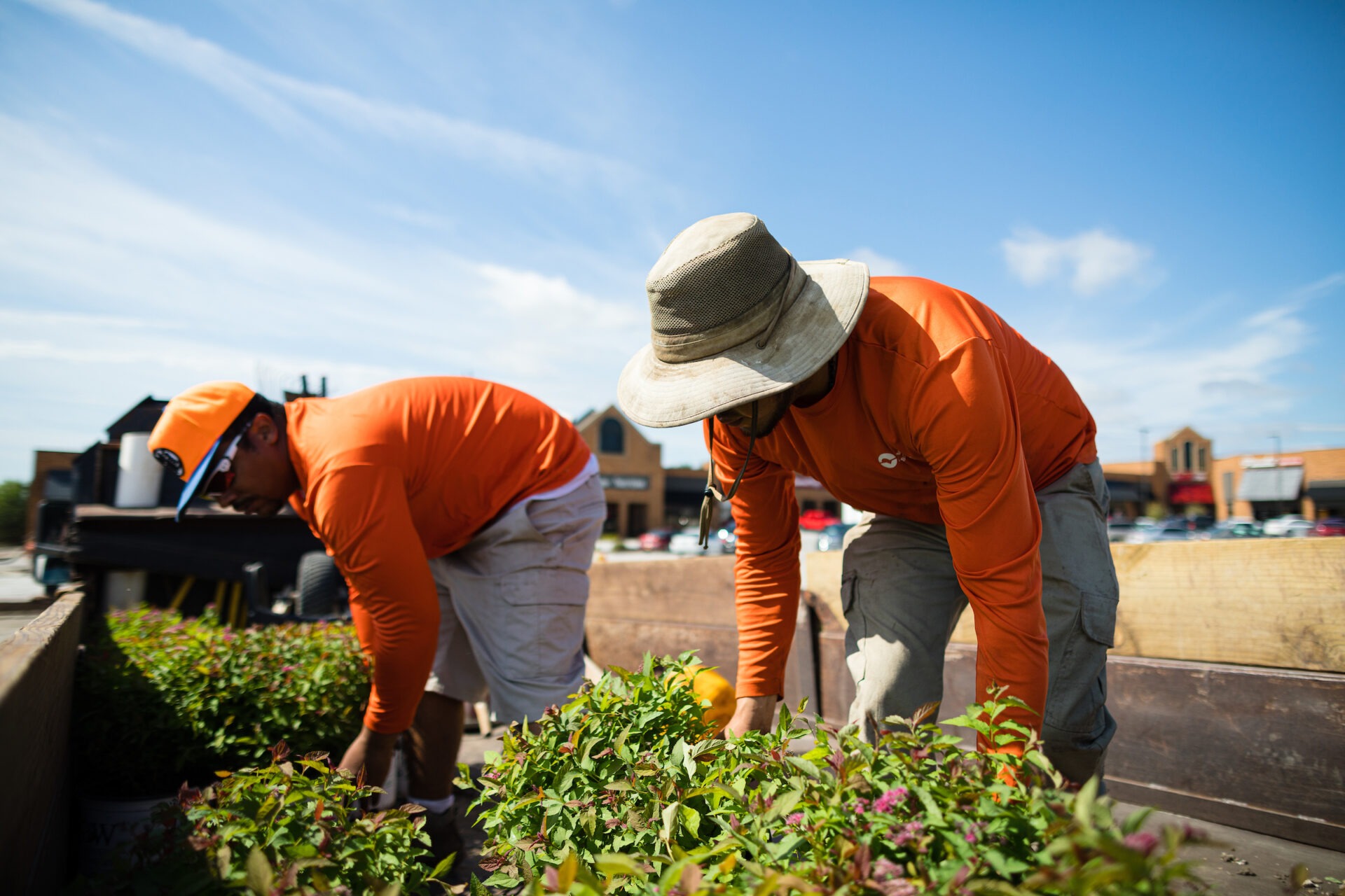 Two people in orange shirts tending plants outdoors, wearing hats, with buildings and parked cars in the background under a clear sky.