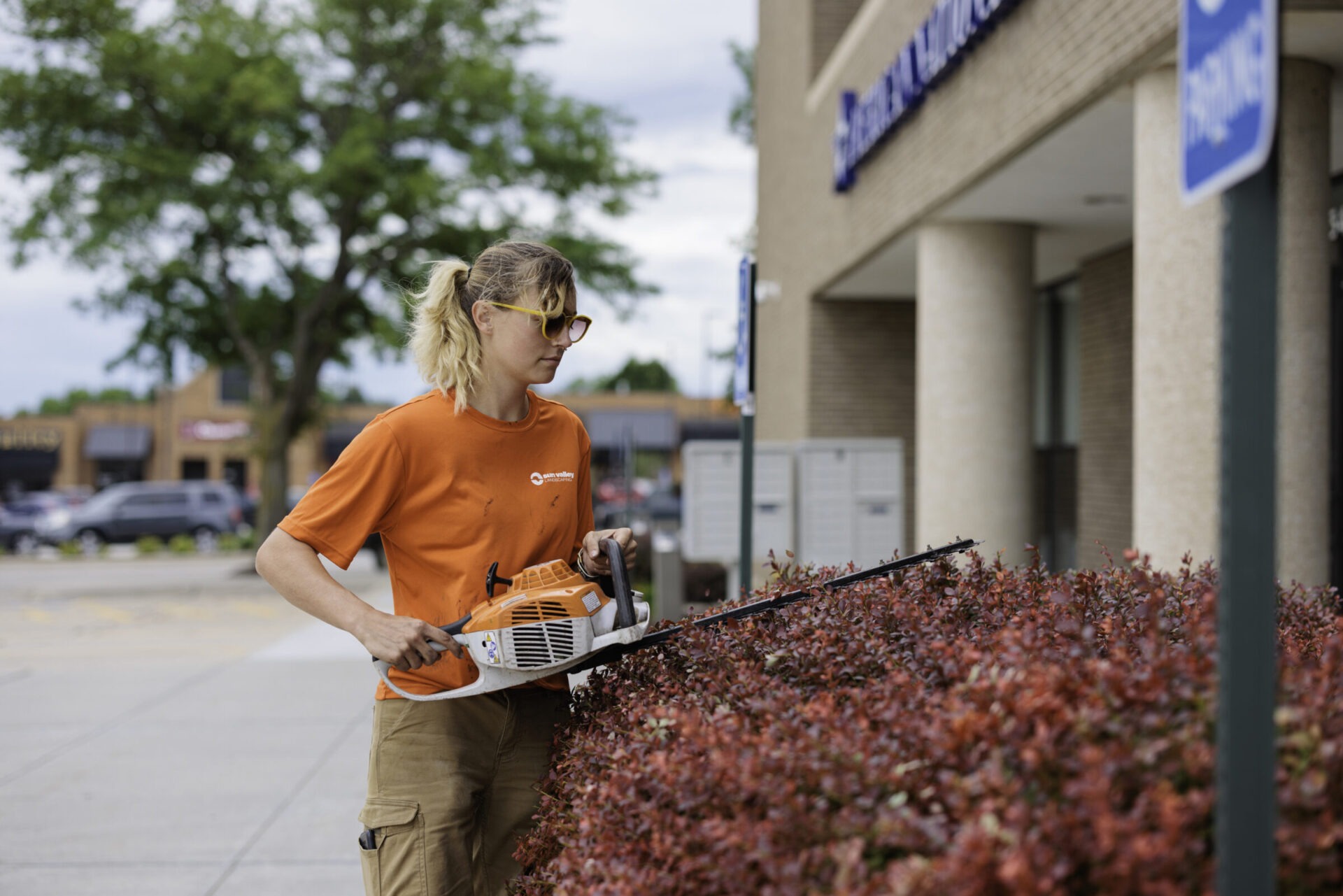 A person in an orange shirt trims bushes with a hedge trimmer outside a building, with trees and parked cars in the background.