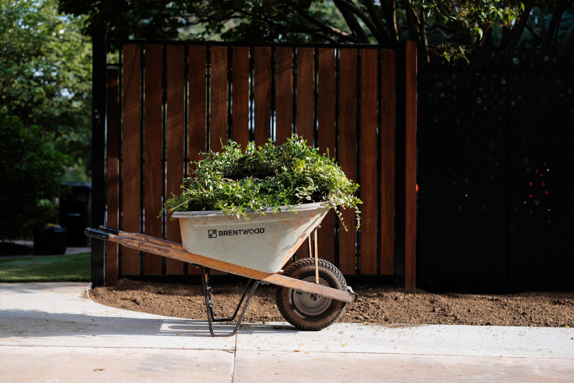 A wheelbarrow filled with green clippings rests on a sidewalk in front of a wooden fence, surrounded by trees and shadows.