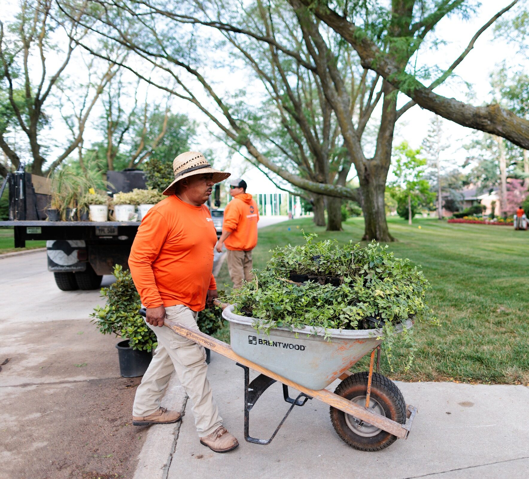 Two team members working on a client's lawn getting it ready for the next season.