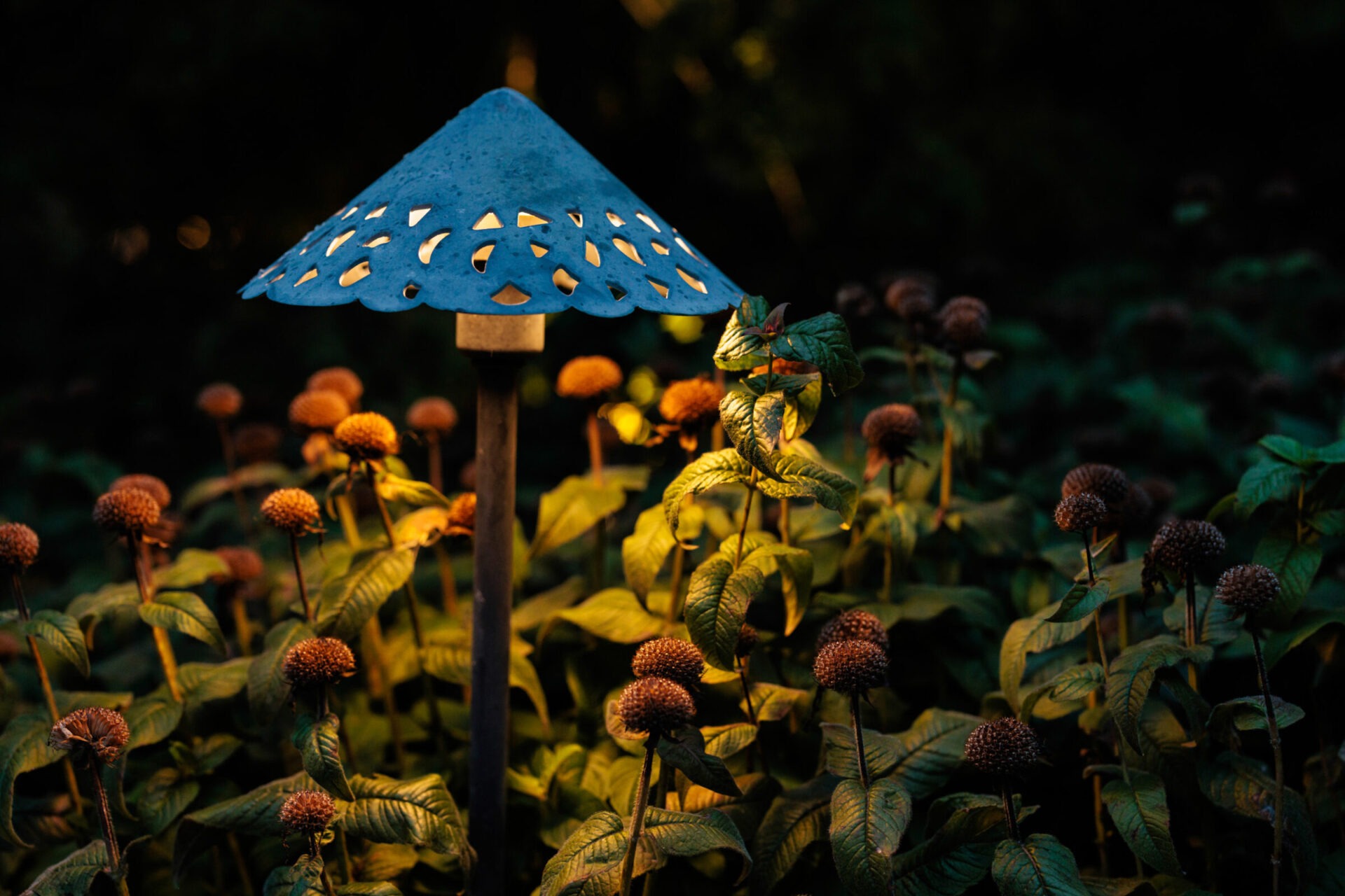 A garden scene with a blue, patterned light fixture illuminating green leaves and orange flowers in a warm, serene ambiance.