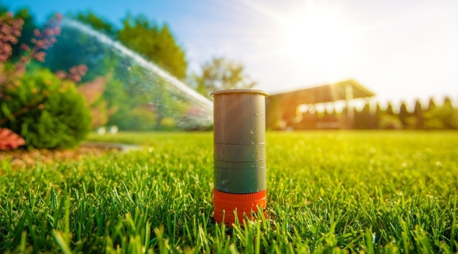 A sprinkler waters a vibrant, sunlit lawn, with a garden and small structure in the background. Bright, clear sky enhances the scene.