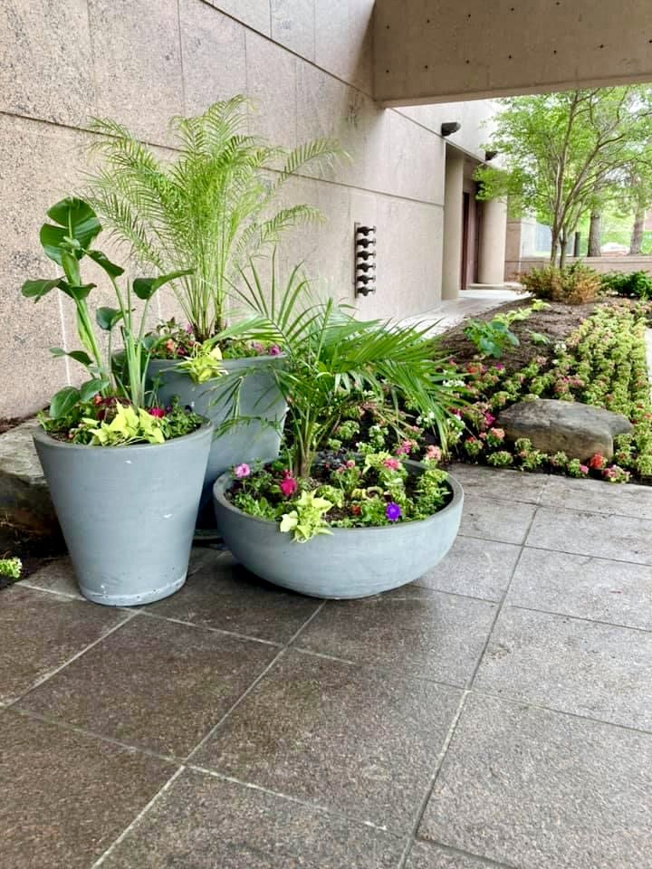 Potted plants and flowers in large planters decorate a tiled pavement next to a modern building wall, with trees in the distance.