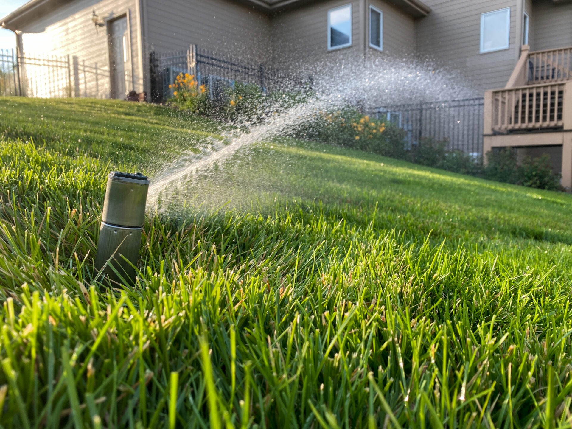 A sprinkler waters lush green grass in a sunny backyard. A house with a wooden terrace and garden is in the background.