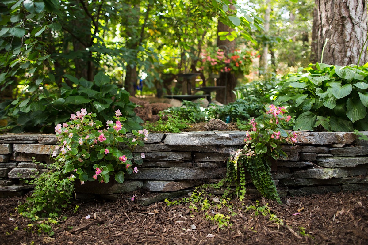 Landscape maintenance done to create an attractive outdoor forest space for a client