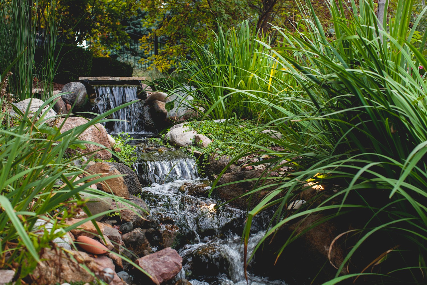 Flowing stream-like garden water feature with layered rocks and dense greenery, mimicking a natural brook.