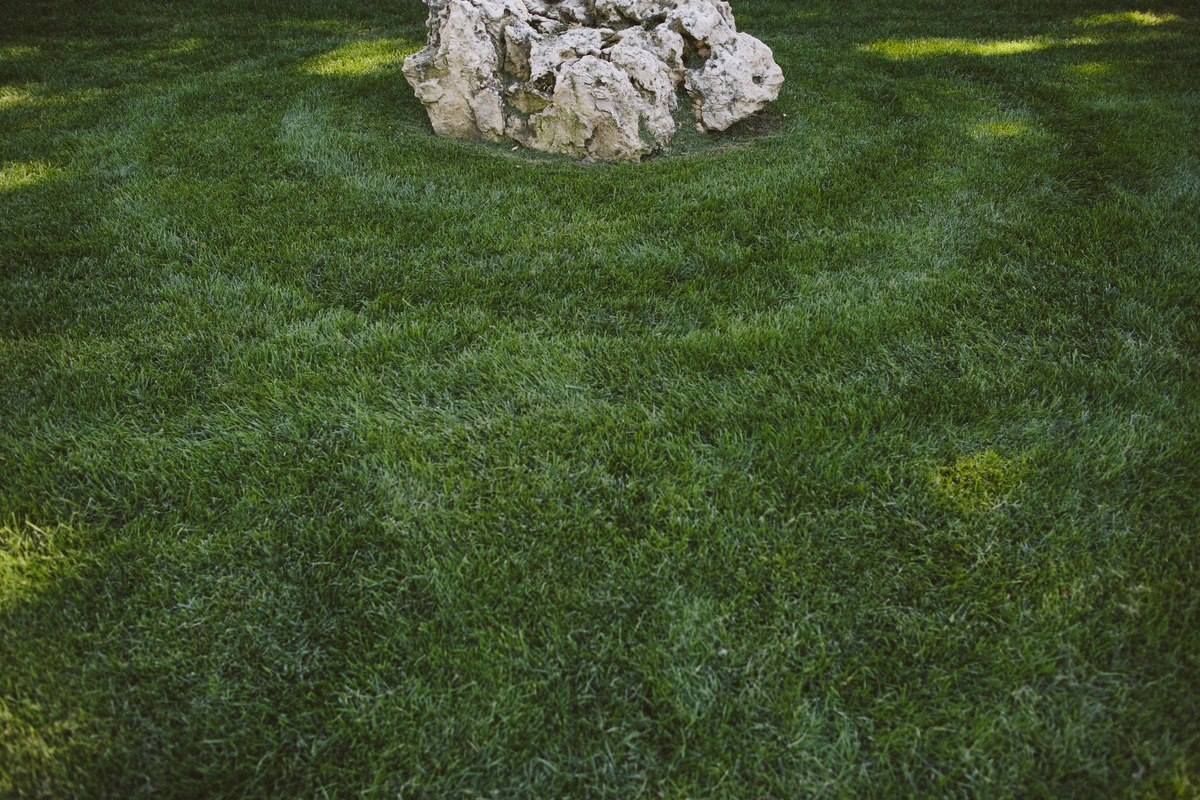 Close-up of lawn with rock feature