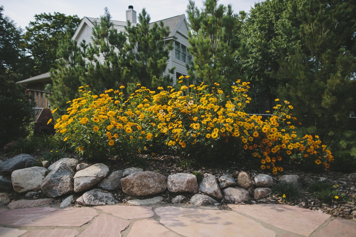 Yellow flower garden with stone border