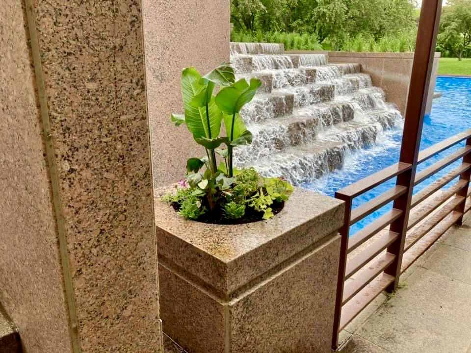 Stone planter with green tropical plant beside cascading waterfall into a bright blue pool.