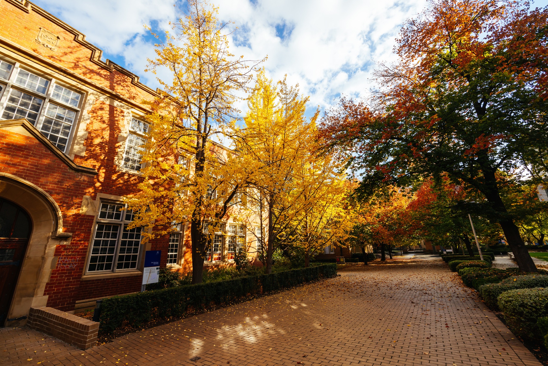 Commercial building landscape in autumn.