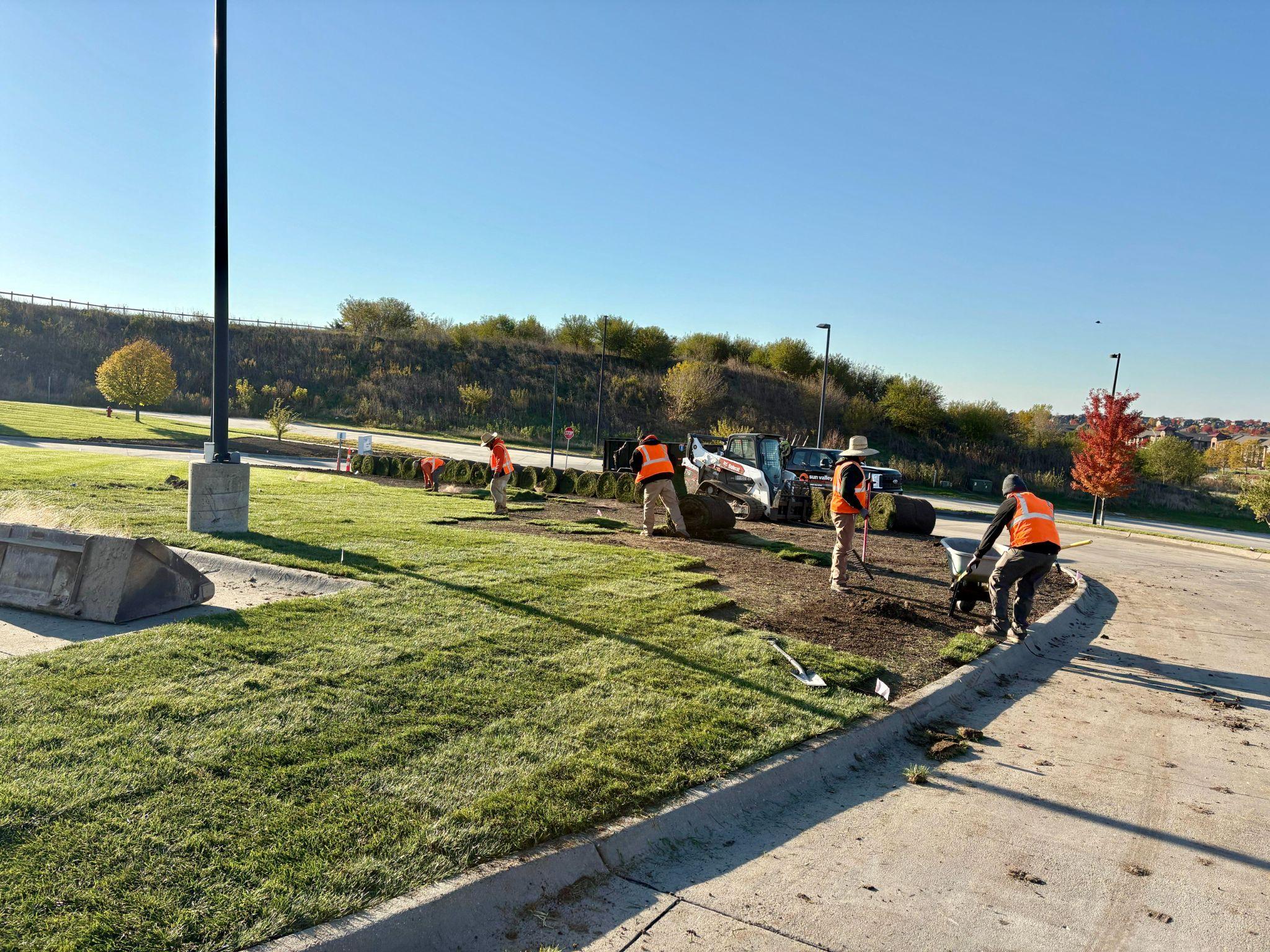 Crew laying fresh sod along a commercial curbside landscape.