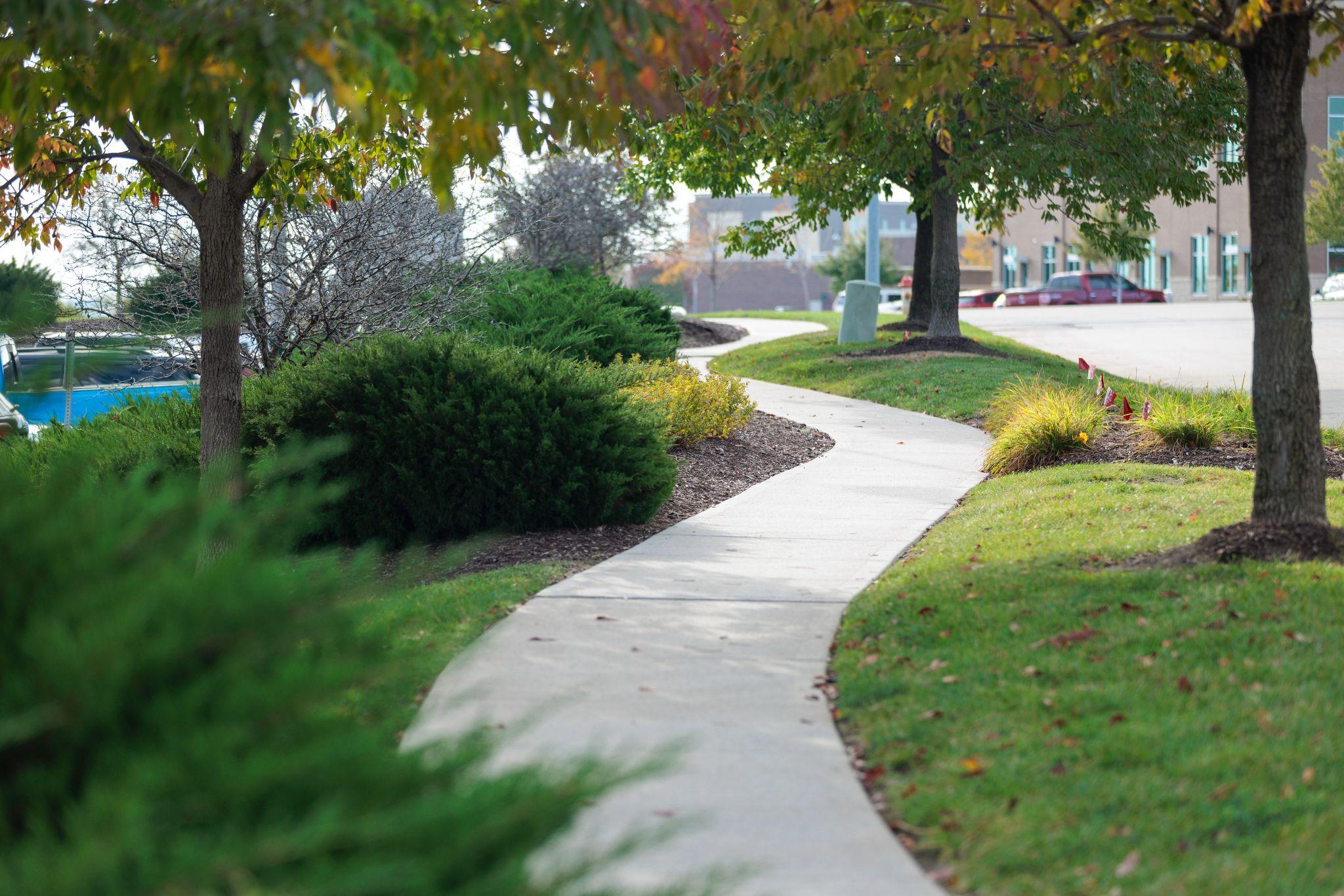 Curved walkway shaded by trees, with trimmed hedges and neatly maintained garden beds lining the path in a business park setting.