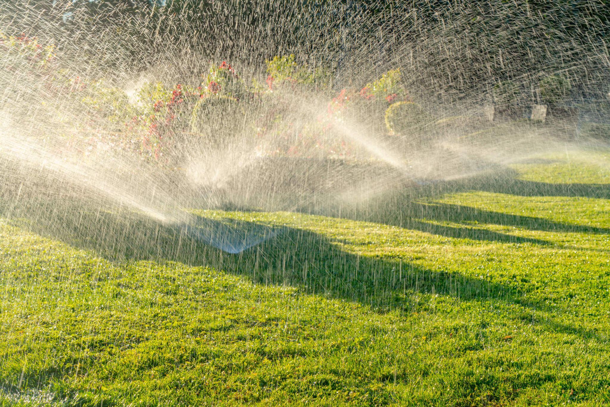 Garden irrigation sprinklers watering a lawn with sunlight highlighting water droplets.
