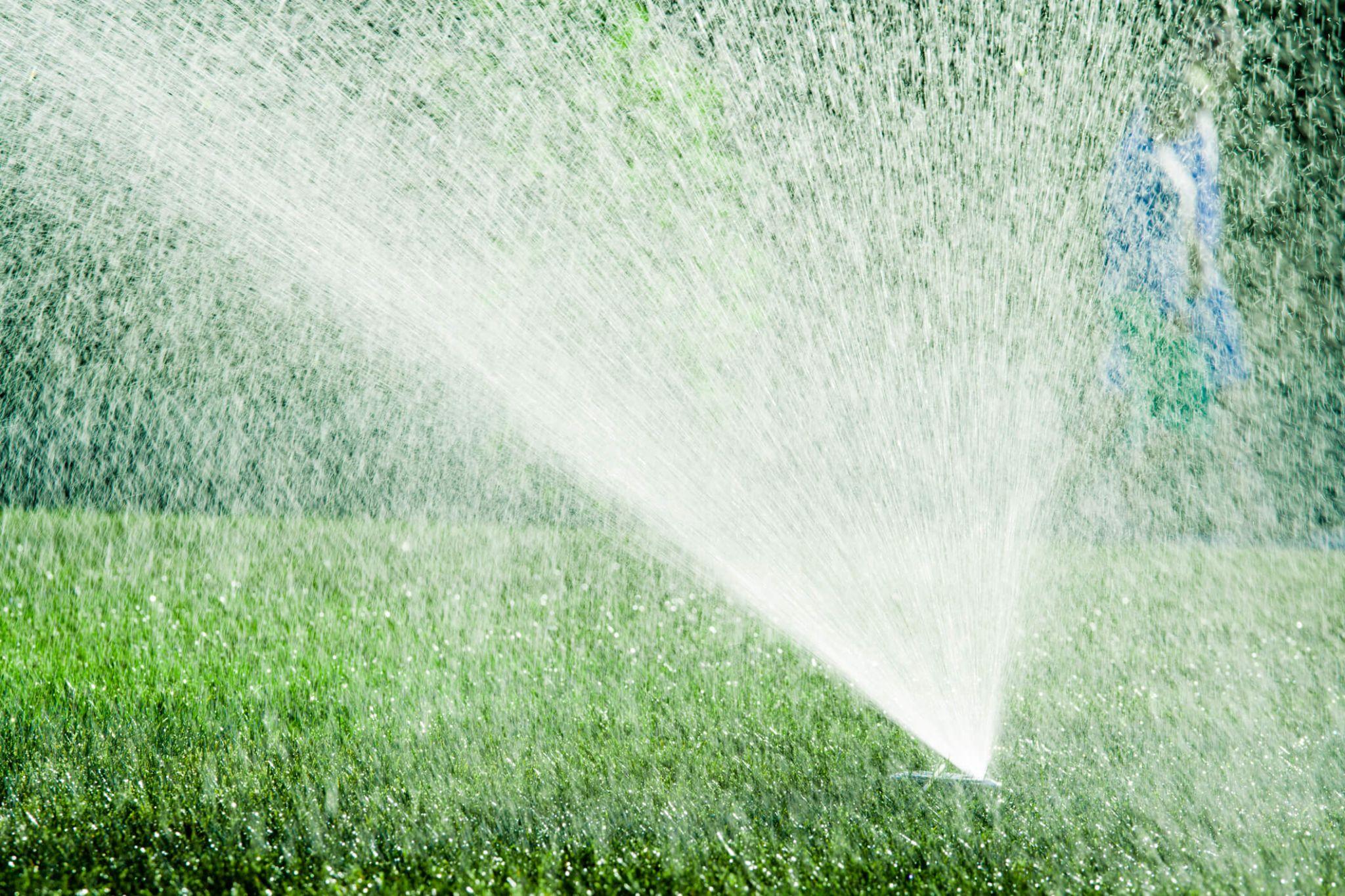 Ground-level sprinkler spraying water across a wide lawn in daylight.