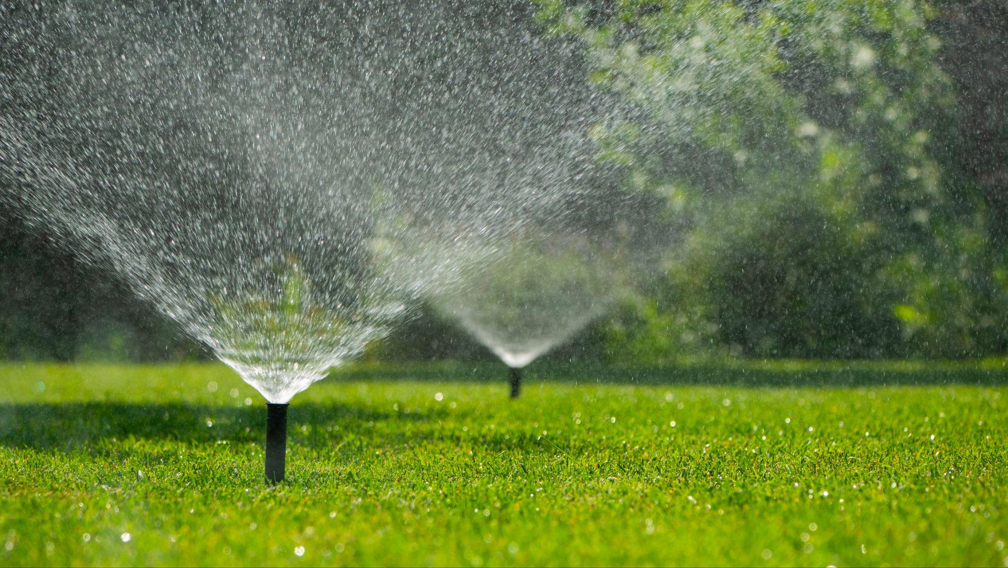 Ground-level sprinkler watering a lawn, with fine mist visible against a green backdrop.