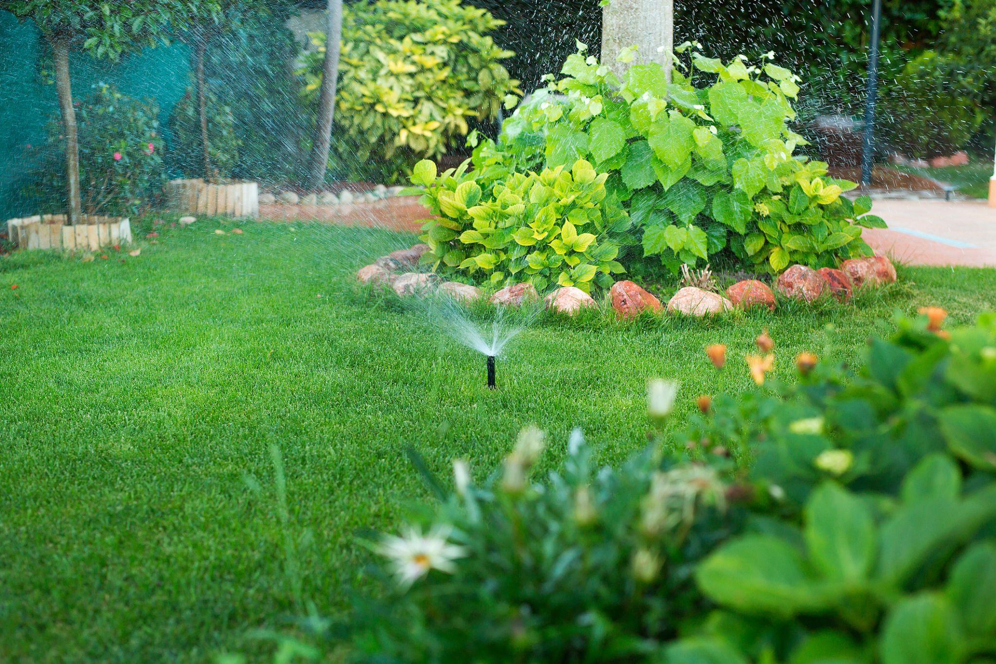 Lawn sprinkler spraying water in a circular pattern across a green garden lawn.