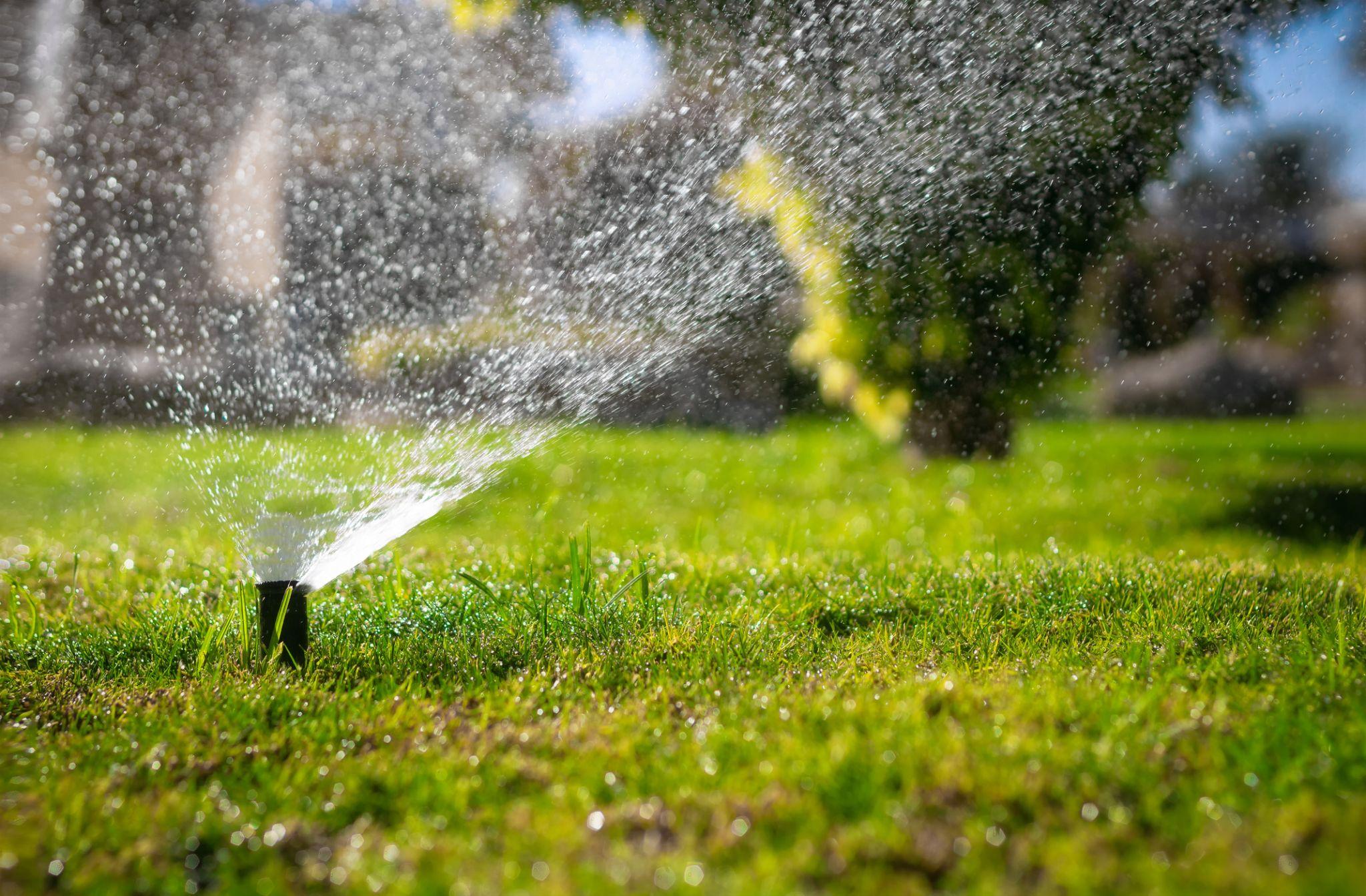 Lawn sprinkler watering grass with water droplets sparkling in sunlight and trees in the background.
