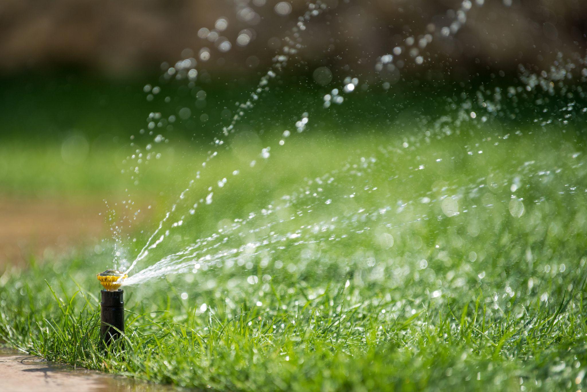 Small sprinkler spraying water over grass near a paved edge in a garden setting.