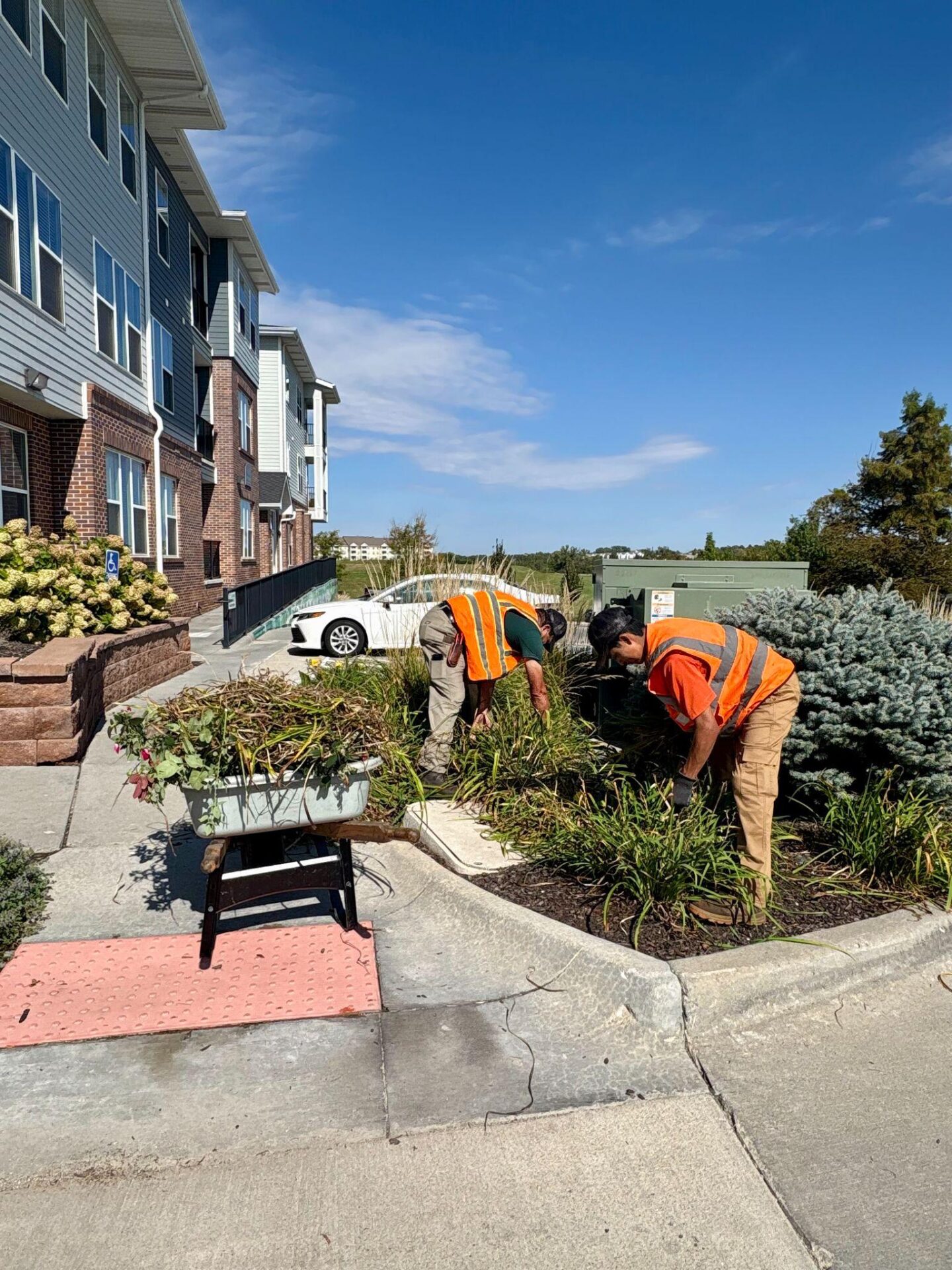 Two landscapers working on garden bed near apartment complex.