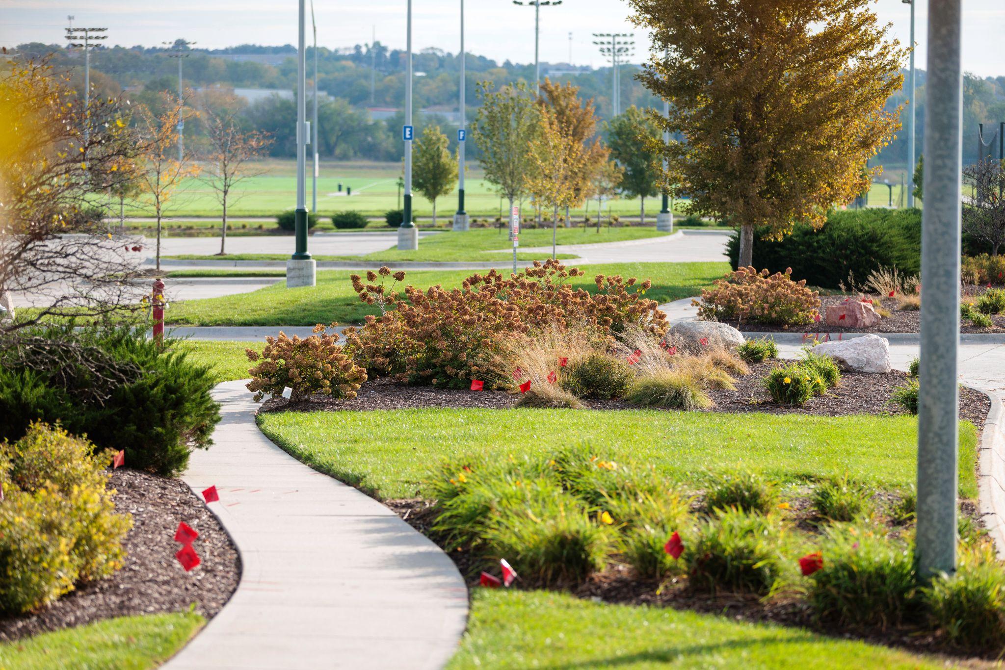 Winding sidewalk bordered by manicured lawns and mulched garden beds with ornamental grasses and flowering shrubs in a commercial landscape.